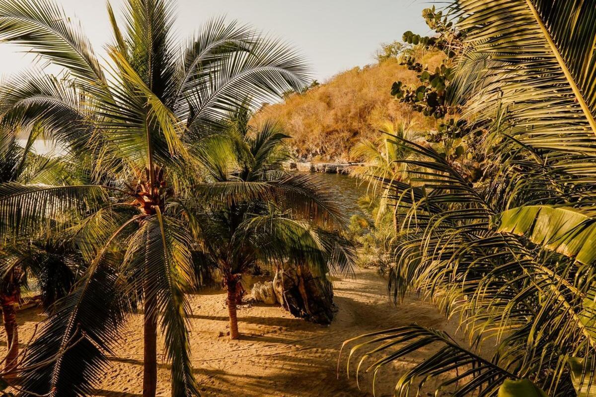 Dream Villa With Private Beach And Catering Zihuatanejo Eksteriør bilde