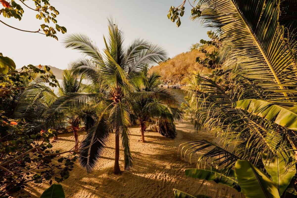 Dream Villa With Private Beach And Catering Zihuatanejo Eksteriør bilde